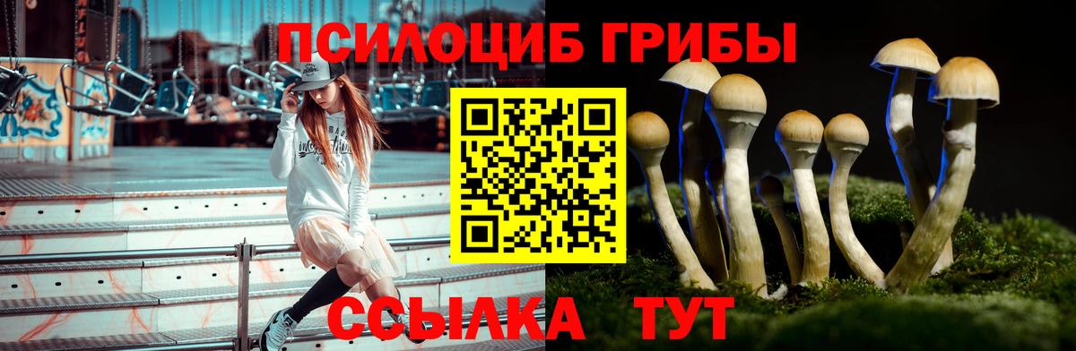 Клин  Галлюциногенные грибы Magic Shrooms  Вход с VPN 