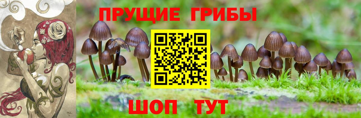 Галлюциногенные грибы GOLDEN TEACHER Клин